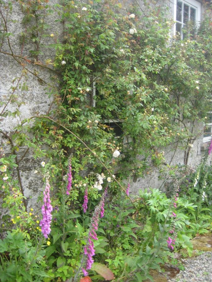 Ballydugan Country House Downpatrick Exterior foto