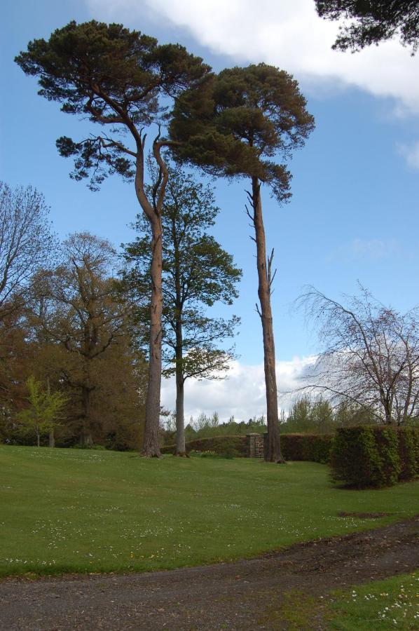 Ballydugan Country House Downpatrick Exterior foto
